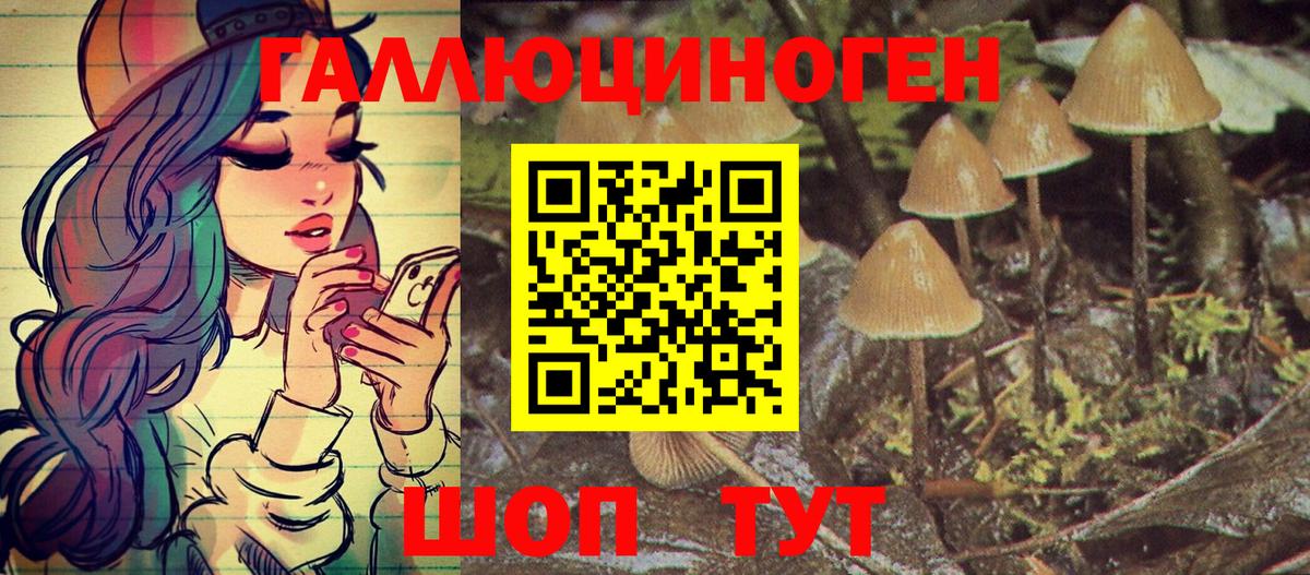 Псилоцибиновые грибы MAGIC MUSHROOMS Майкоп
