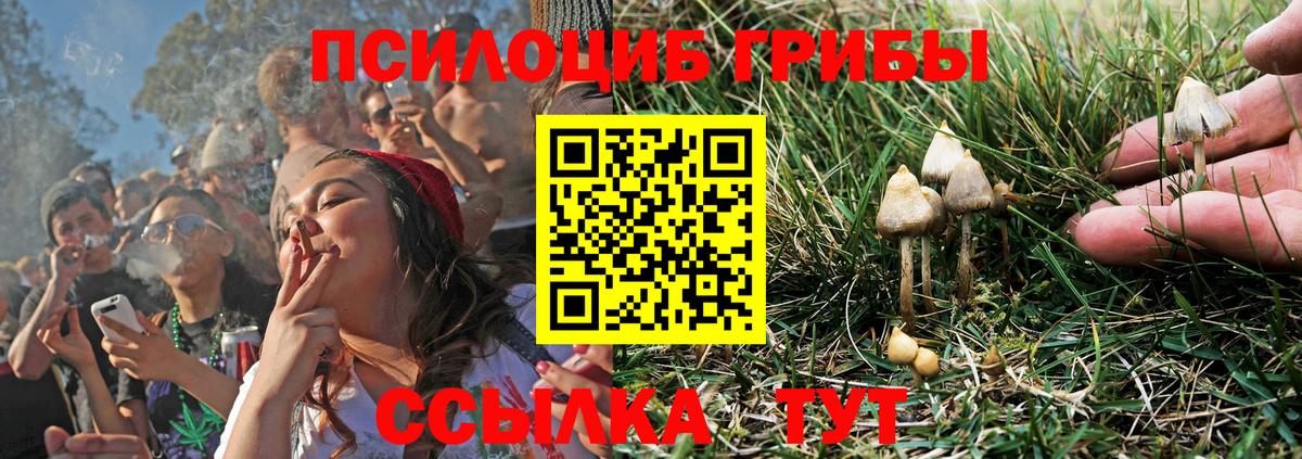 Галлюциногенные грибы мухоморы  Вход с VPN  Майкоп 